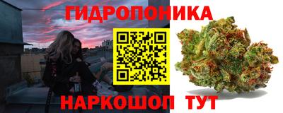 apvp Краснознаменск