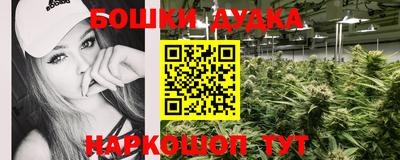 apvp Краснознаменск