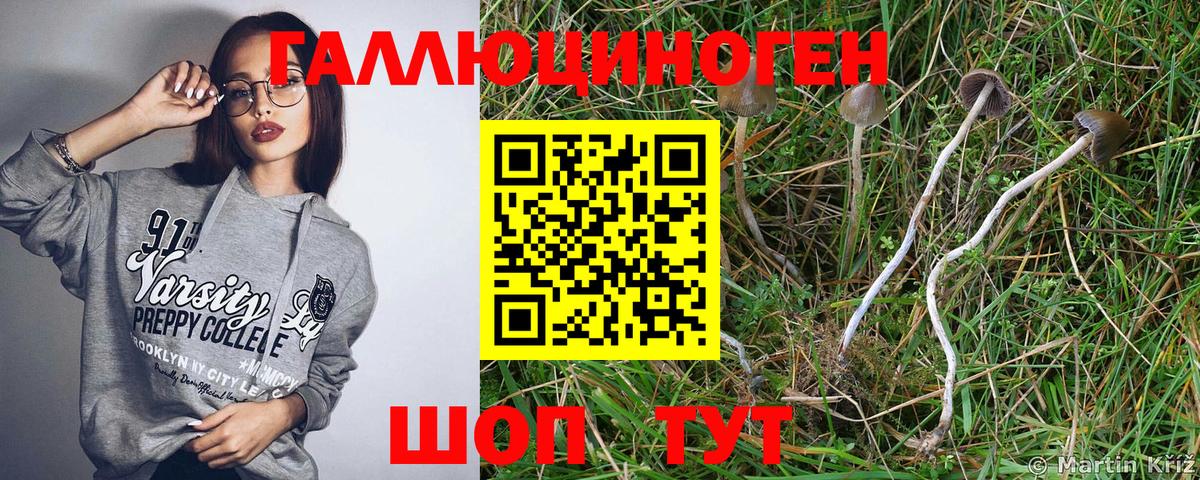 Псилоцибиновые грибы Psilocybe  Вход с VPN  Псилоцибиновые грибы Psilocybe  купить   Костомукша 