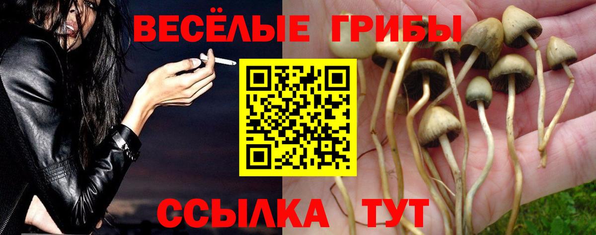 Псилоцибиновые грибы Magic Shrooms Костомукша